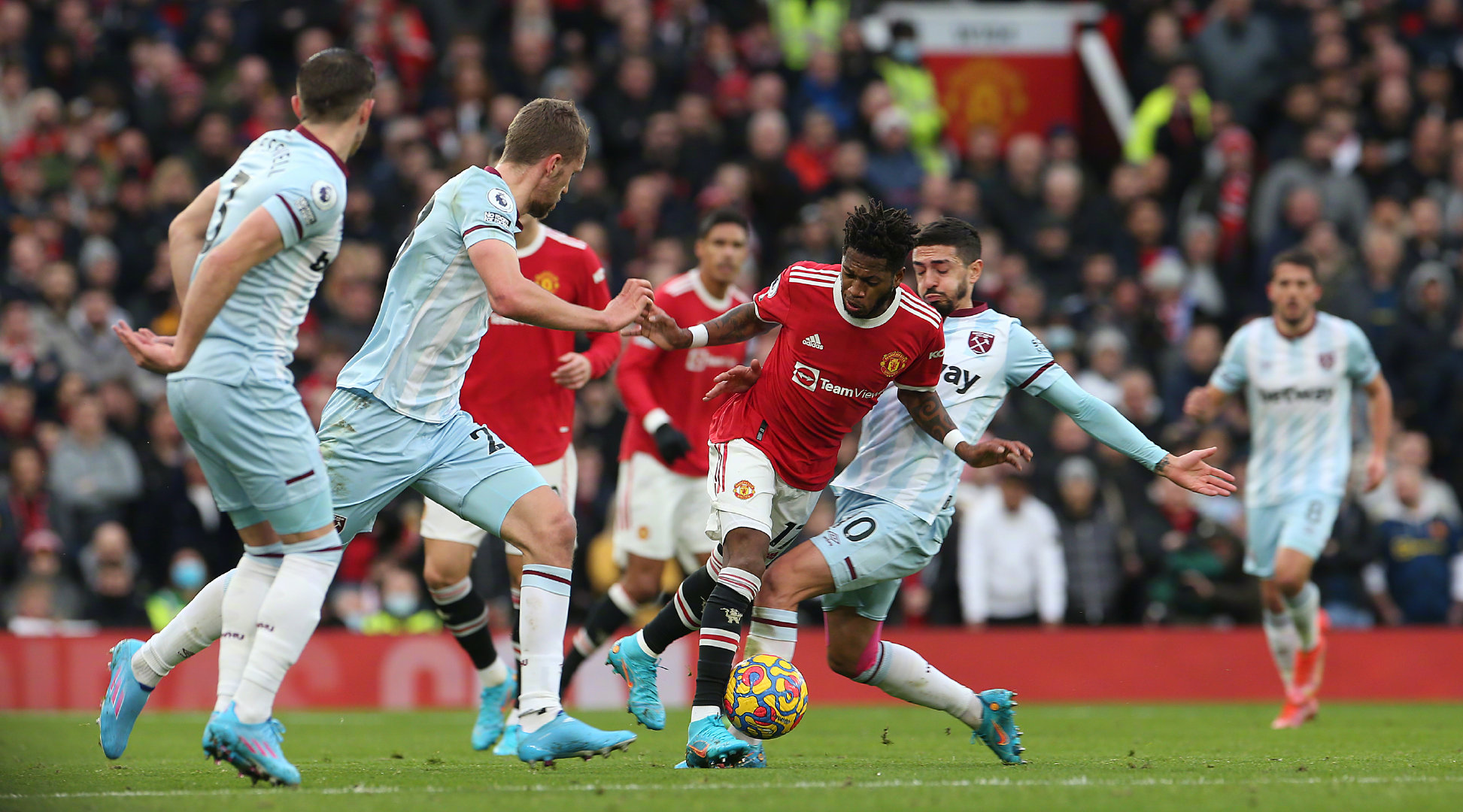 F組種子球 F組種子球