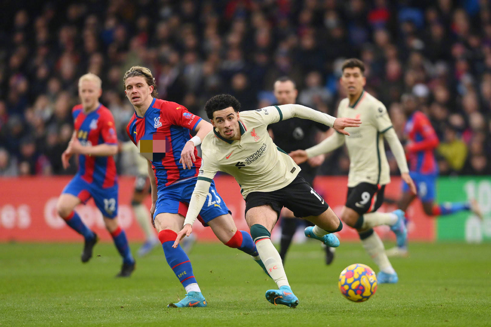 才能结出硕 才能结出硕